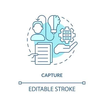 Customizable capture blue linear icon concept Illustrazione stock