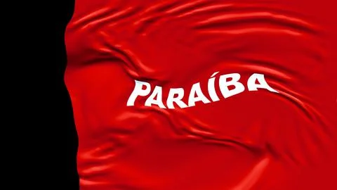 Customized 3D representation of the Paraiba flag Иллюстрация