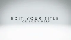 Customized Global Network Stock After Effects