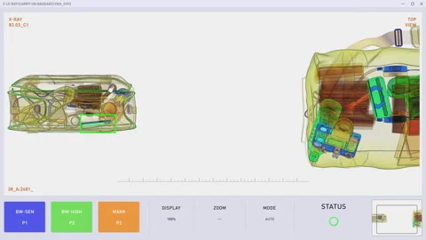 Customs control checking the baggage for passenger protection against terrorism Stock Footage 303560074