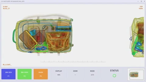 Customs Control Security Device Checking Carry-on Luggage For Prohibited Items Stock Footage 202084232