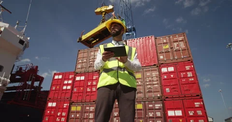 A customs inspector standing and reviewing a tack of containers. Video stock 55187133