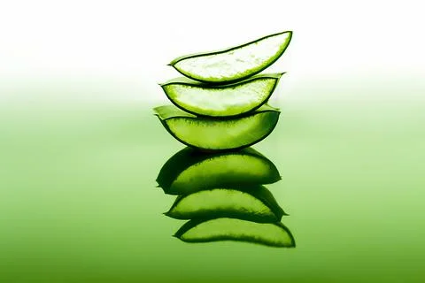 Cut aloe leaf in bright light large pieces of aloe close-up Stock Photos