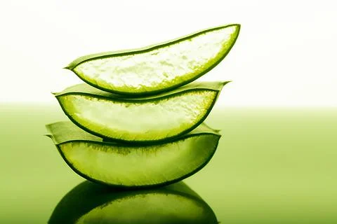 Cut aloe leaf in bright light large pieces of aloe close-up Stock Photos