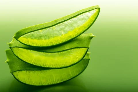Cut aloe leaf in bright light large pieces of aloe close-up Stock Photos