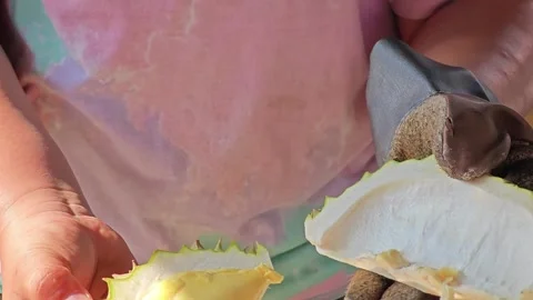 Cut and open durian fruit rind. Stock Footage 310931322