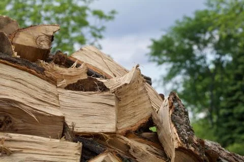 Cut and Split Oak Against the Sky Stock Photos