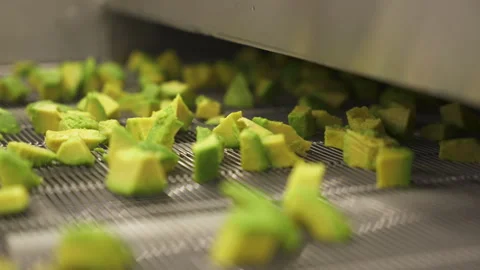 Cut Avocado Cubes Moving Under IQF Tunnel on Mesh Conveyor 스톡 동영상 346738874