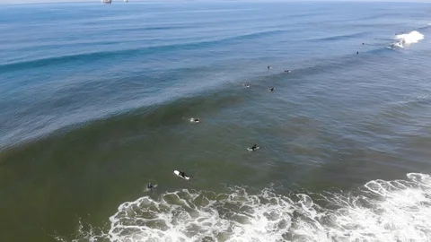 Cut Back Stock Footage 103785014