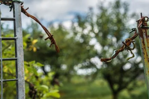 Cut Barbwire Foto stock