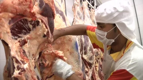 Cut of beef 库存影片 854983