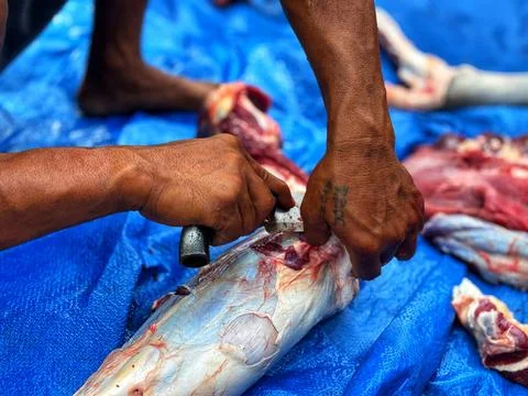 Cut the beef Stock Photos