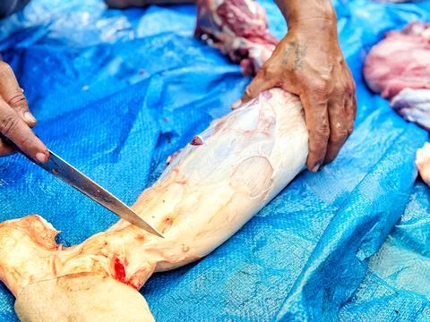 Cut the beef Stock Photos