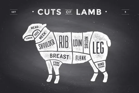 Cut of beef set. Poster Butcher diagram and scheme - Lamb Stock Illustration