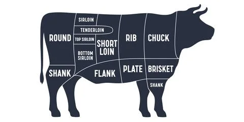 Cut of beef set. Poster Butcher diagram Stock-Illustration