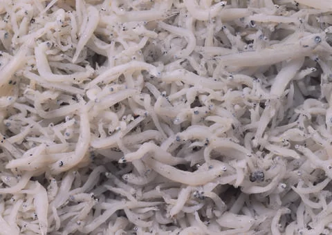 Cut beet Stock Photos