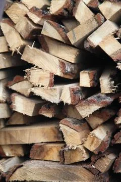 Cut the birch Stock-Fotos