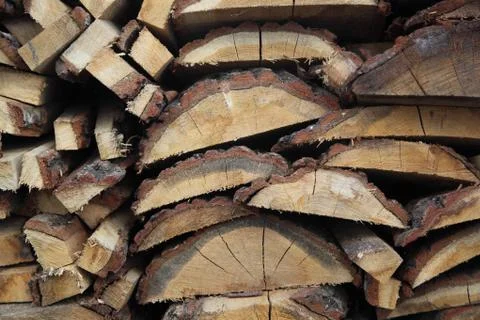 Cut the birch Stock Photos