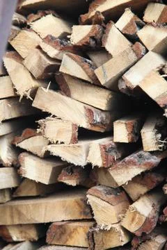 Cut the birch Stock Photos