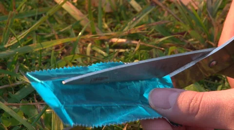 Cut blue gum foil to light fire, forest survival, close up shoot Stock Footage 63209484