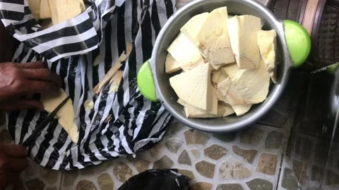 Cut breadfruit easily Stock Footage 167808683