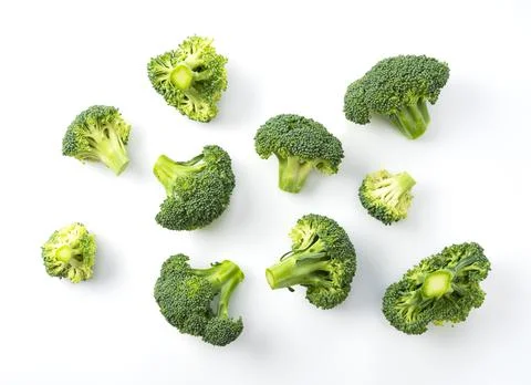 Cut broccoli placed on a white background Stock Photos