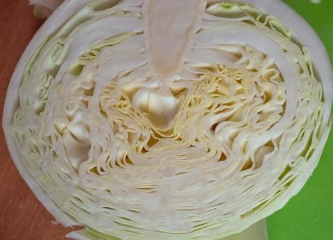 Cut cabbage. Cabbage in a section. Stock Photos