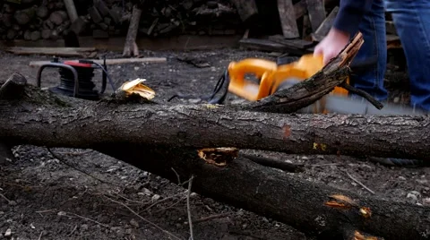 Cut with chainsaw Stockbeeldmateriaal 61403110