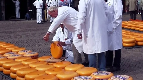 Cut the cheese for the inspection Video stock 83920237