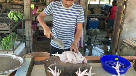 Cut chicken Meat Stock Footage 146911130