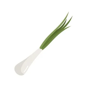 Cut chive icon flat vector. Chinese onion Illustrazione stock