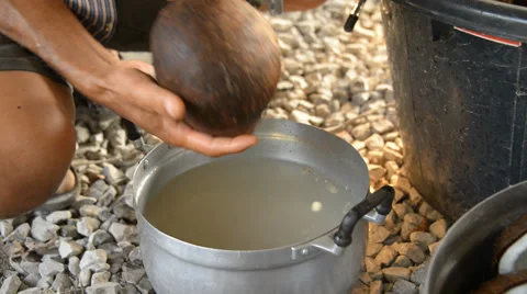 Cut coconut Stock Footage 28798525