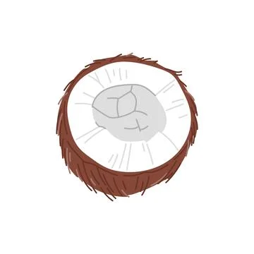 Cut coconut fruit in nutshell isolated exotic coco Stock Illustration