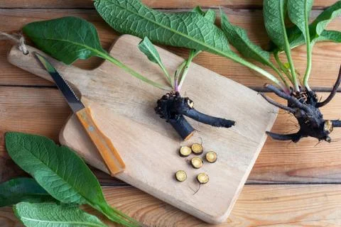 Cut-up comfrey root on a table Stock Photos