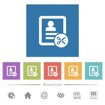Cut contact data flat white icons in square backgrounds Stock Illustration