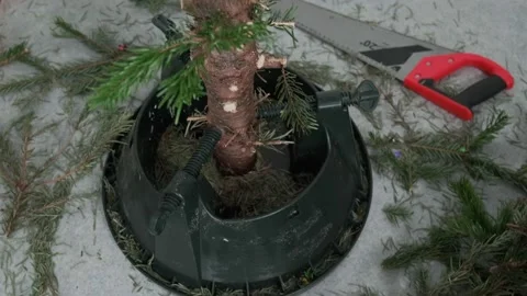 The cut-down Christmas tree branches are on the floor Stock Footage 168897815