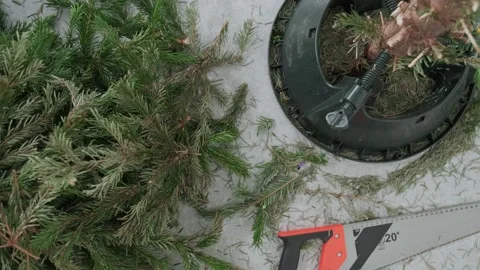 The cut-down Christmas tree branches are on the floor, the tree trunk is in a Stock Footage 168897874