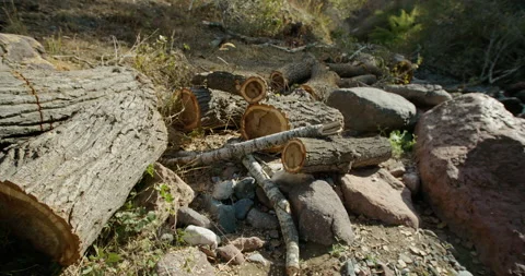 Cut down trees lie on rocks in the mountains. Deforestation, destruction of the Vídeos de archivo 143549533