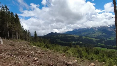 Cut down trees on a mountain, pan right deforestation Video stock 275886156