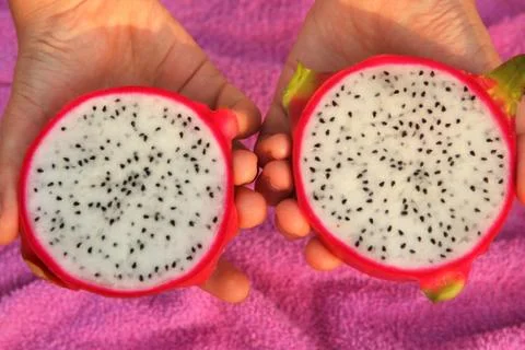 Cut dragon fruit circles close up photo Stock Photos