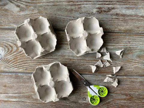 Cut egg box in the shape of a flower, for children's craft. Stock Photos