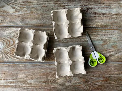 Cut egg box in the shape of a flower, for children's craft. Stock Photos