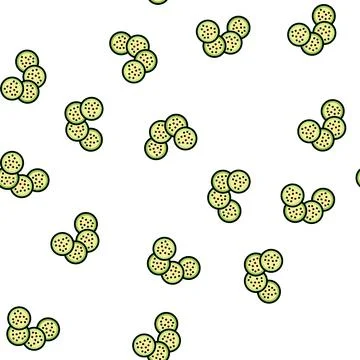 Cut eggplant vector seamless pattern Stock Illustration