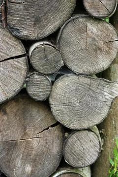Cut ends of logs in a stack Stock Photos