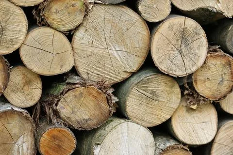 Cut ends of logs in a stack Stock Photos