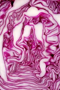 Cut face of red cabbage background Stock Photos