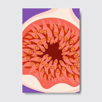 Cut fig template card, slice fresh fruit poster on white background, magazine イラスト素材