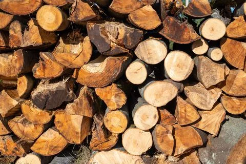 Cut fire woods Stock Photos