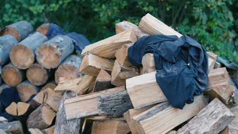 Cut Firewood Pile with Worker Clothes Outdoor | Split Logs Ready for Winter Heat Stock Footage 315623846