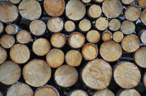 Cut firewood stack Stock Photos